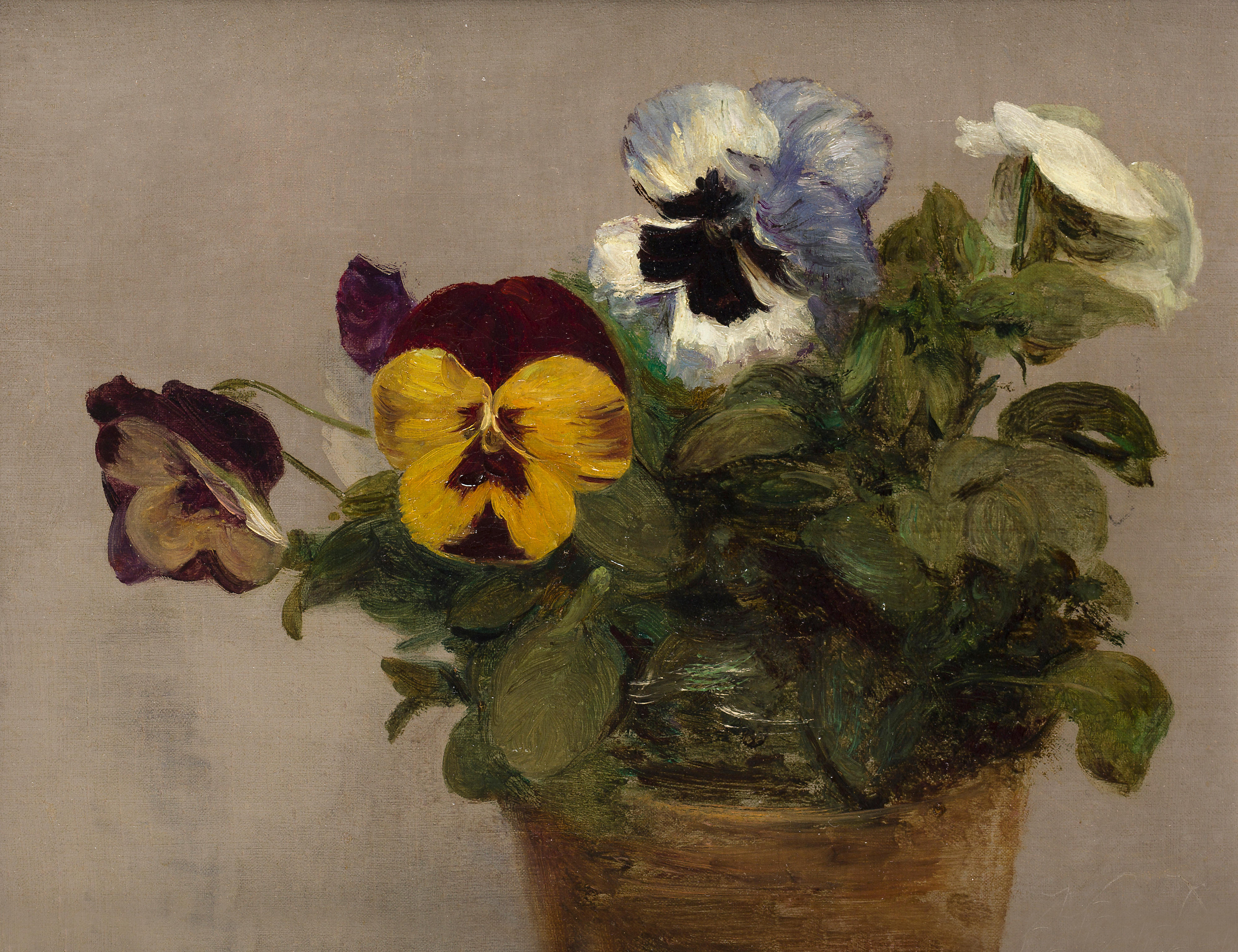 Potted Pansies